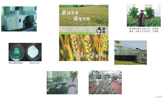 微补特种肥