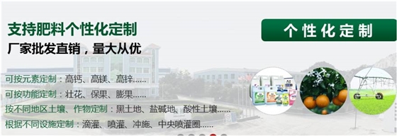 微肥定制