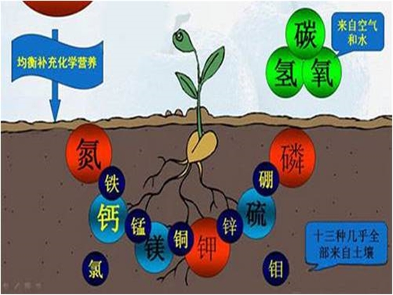 植物生长必需营养元素