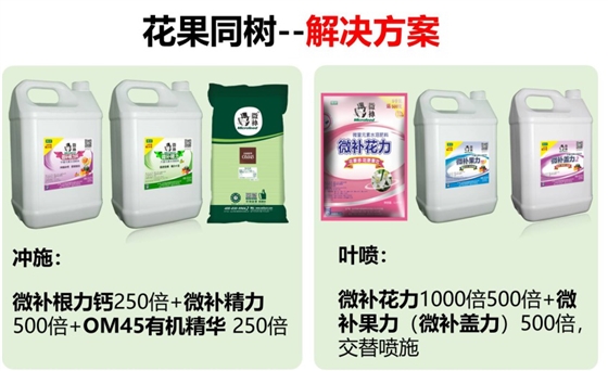 解决方案