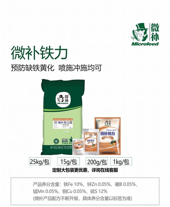 08微补铁力790_副本10.jpg