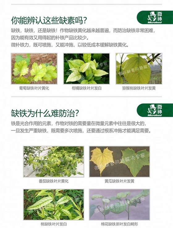 08微补铁力790_副本20.jpg