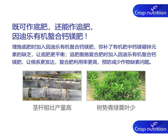 因迪乐有机螯合钙镁肥990_副本5.jpg