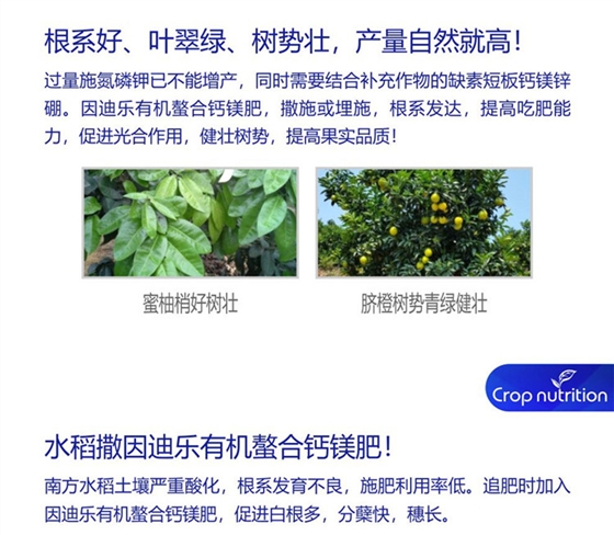 因迪乐有机螯合钙镁肥990_副本6.jpg