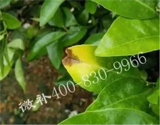 微信图片_20180511162937.jpg