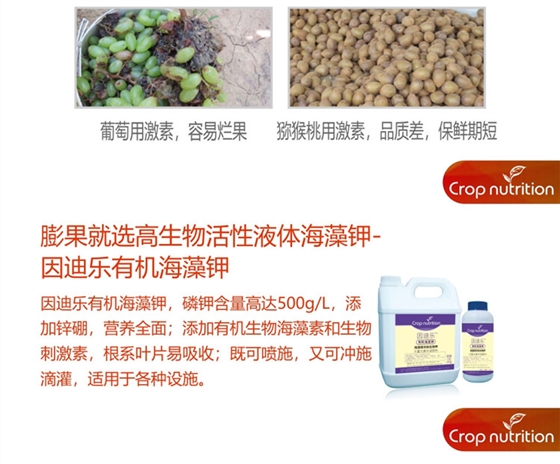 因迪乐有机海藻钾990_副本3.jpg