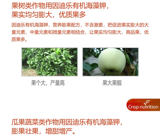 因迪乐有机海藻钾990_副本4.jpg