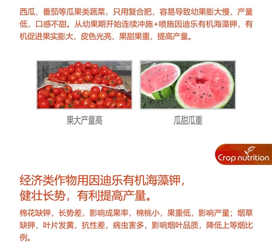 因迪乐有机海藻钾990_副本5.jpg