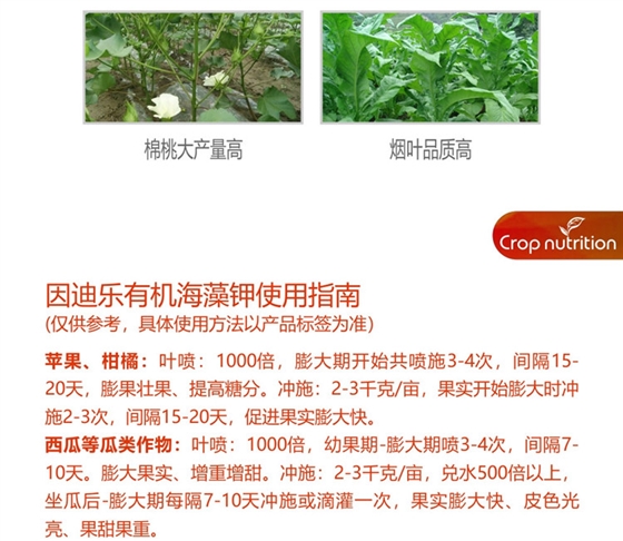 因迪乐有机海藻钾990_副本6.jpg