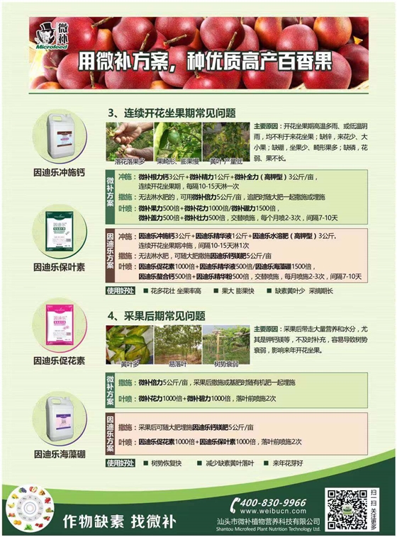 百香果A4新2.jpg