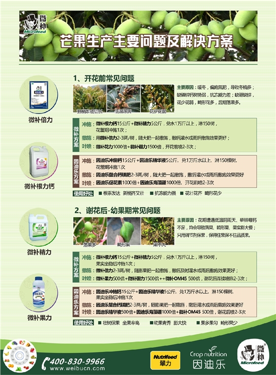 芒果A4 1.jpg