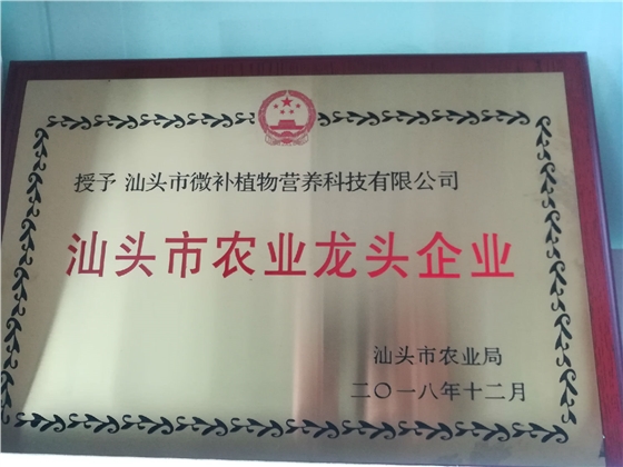 汕头市农业龙头企业