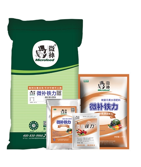 微补铁力