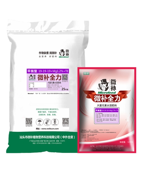 微补全力