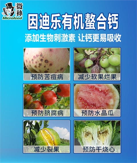 因迪乐螯合钙