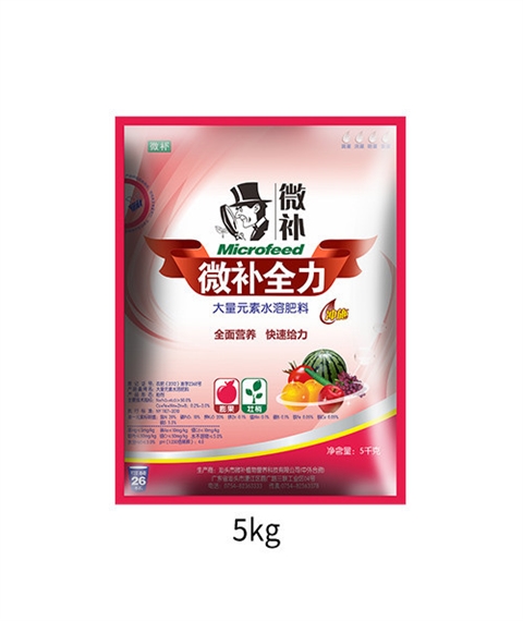 微补全力