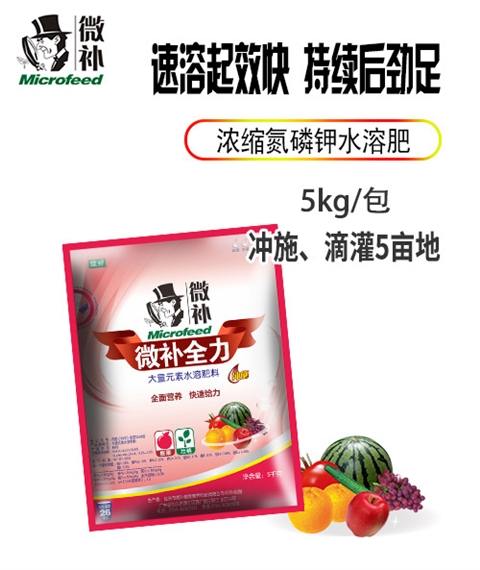 微补全力