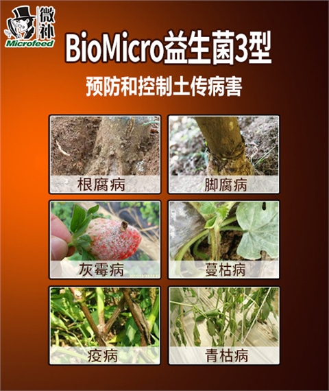 BioMicro土传病害防控系列1型 /2型 /3型