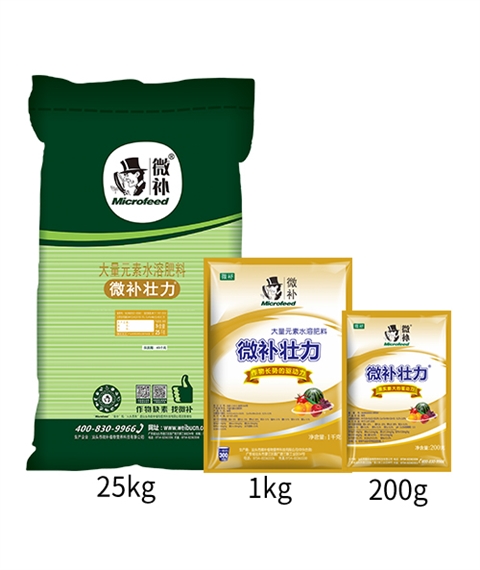 微补壮力