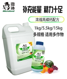 微补精力