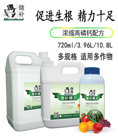 微补精力