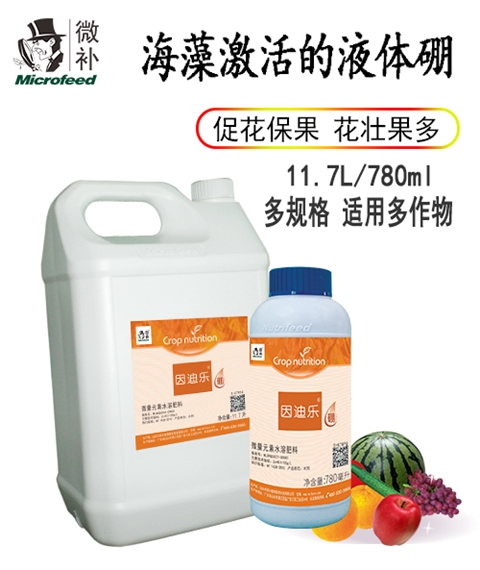 因迪乐硼