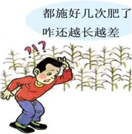 #微补讲坛#走出肥料利用率低的困境
