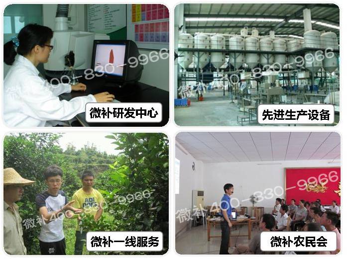 余教授德国乡村行：住德国农舍的度假体验