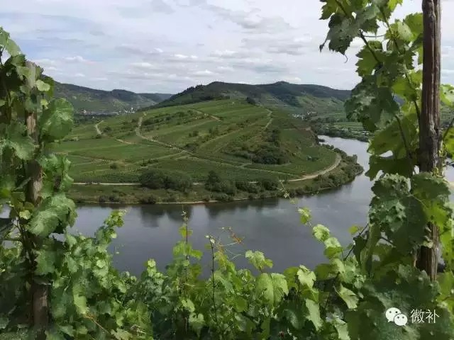 余教授德国乡村行：再回首摩泽尔河畔的童话世界吧