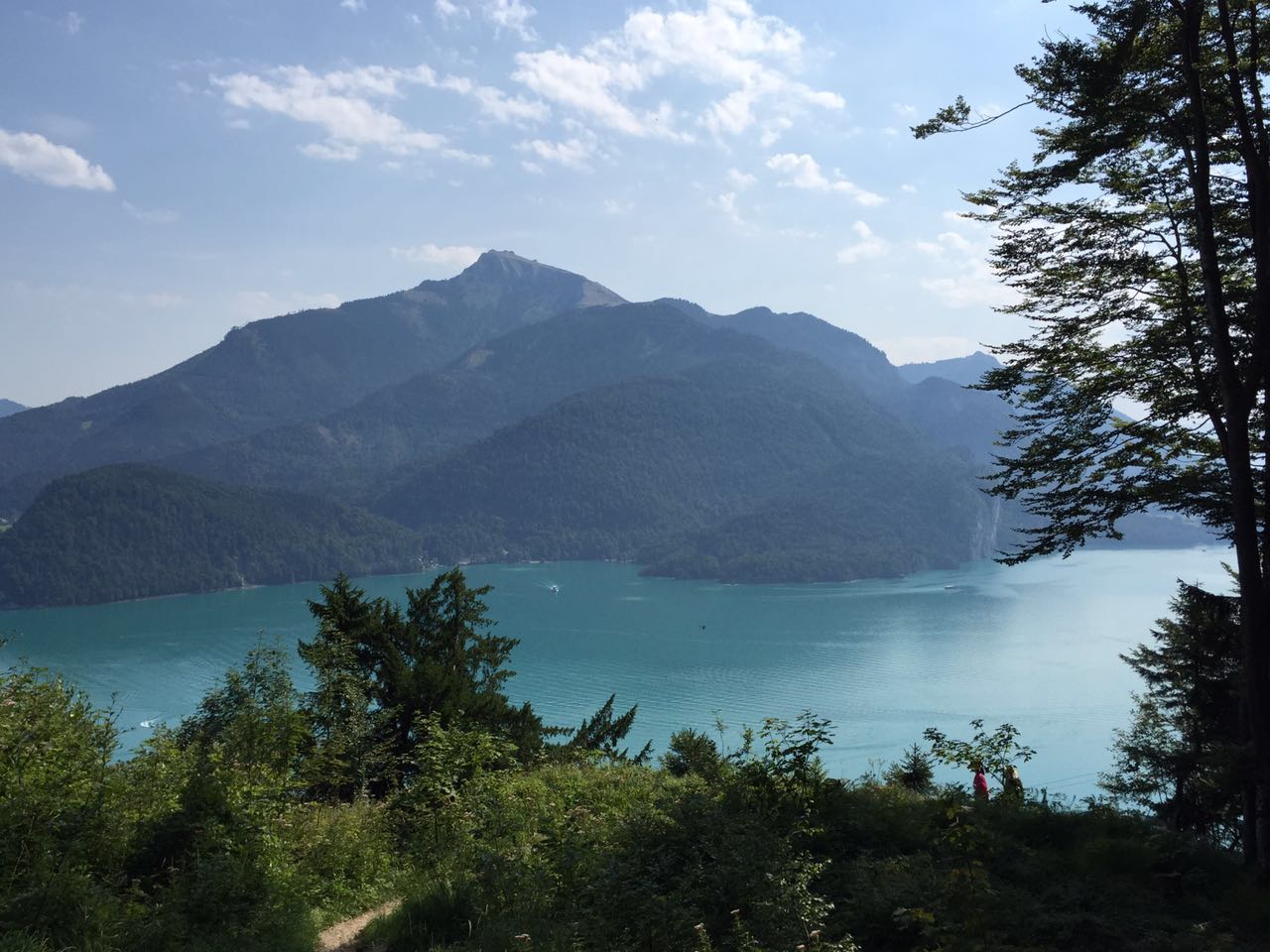 余教授奥地利乡村行：万科为什么说把奥地利小镇搬回来？