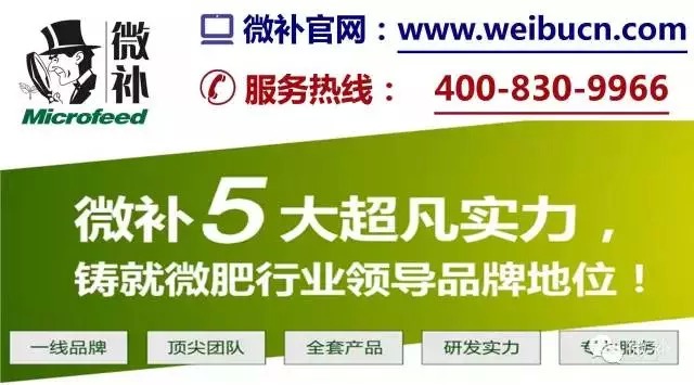 【余教授奥地利乡村行：音乐之声把游客带到了萨尔斯堡】