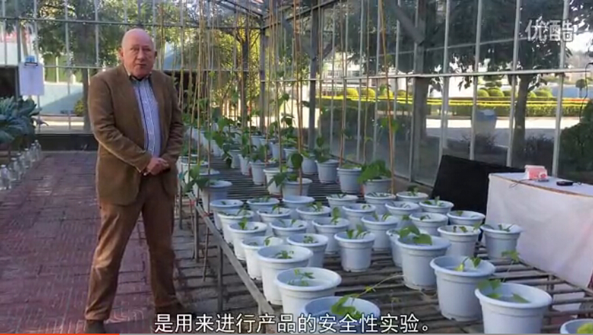 微肥企业温室试验室的功能之二产品的安全性实验