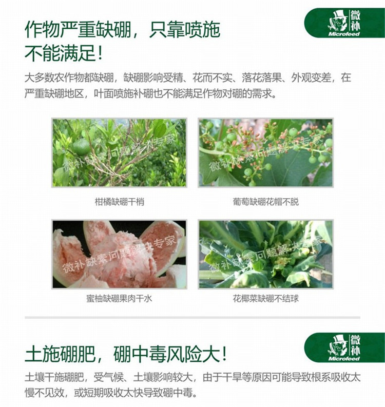 32微补冲力硼790_副本52.jpg
