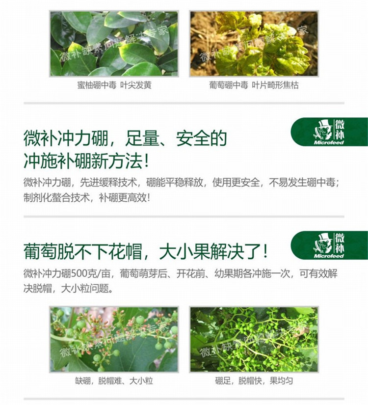 32微补冲力硼790_副本53.jpg