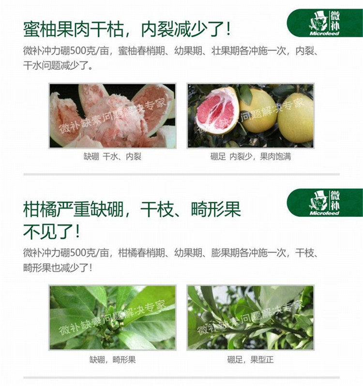 32微补冲力硼790_副本54.jpg