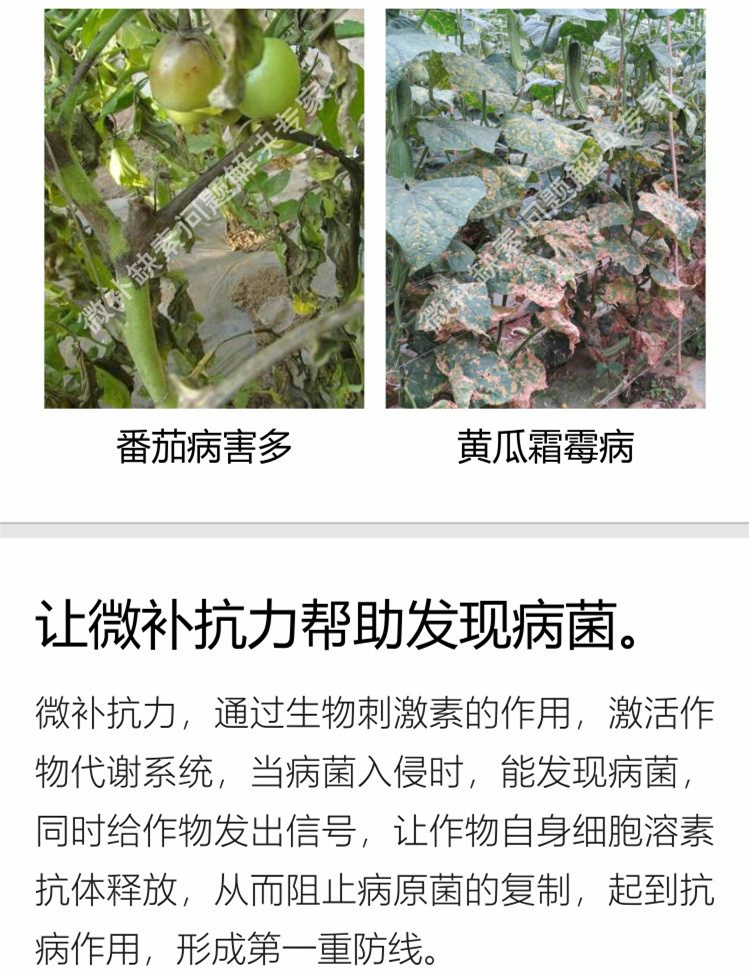 28微补抗力sj750_副本3.jpg