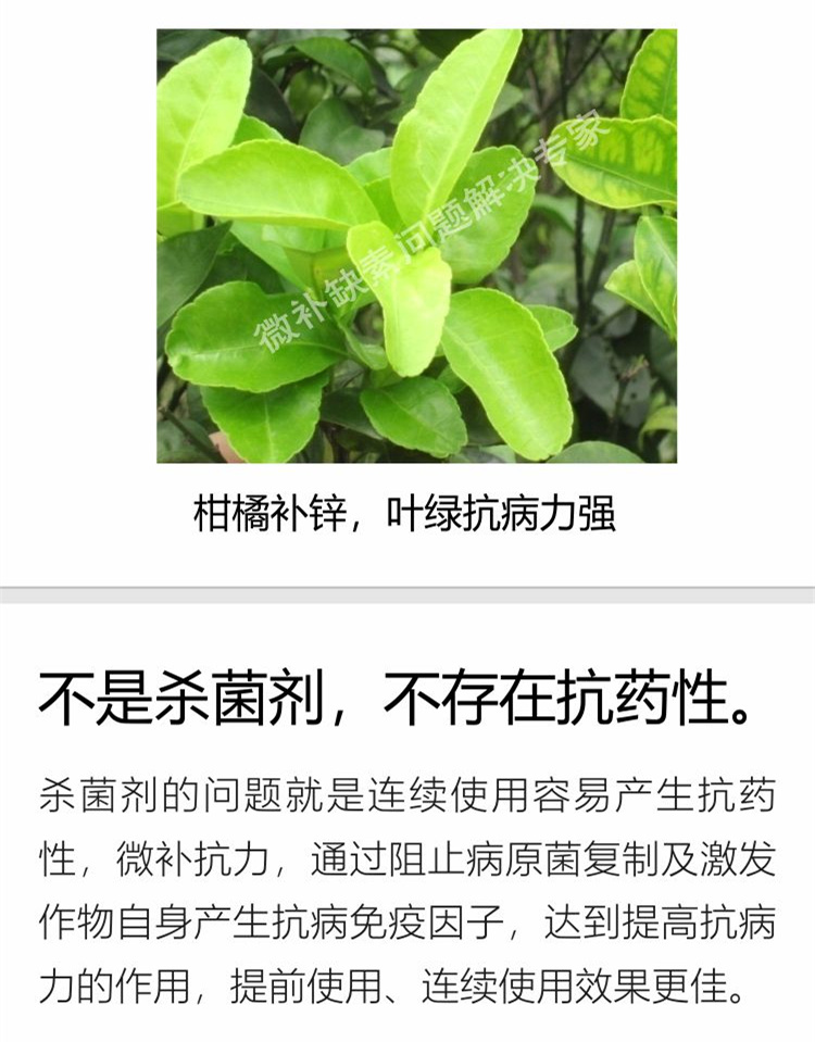 28微补抗力sj750_副本5.jpg