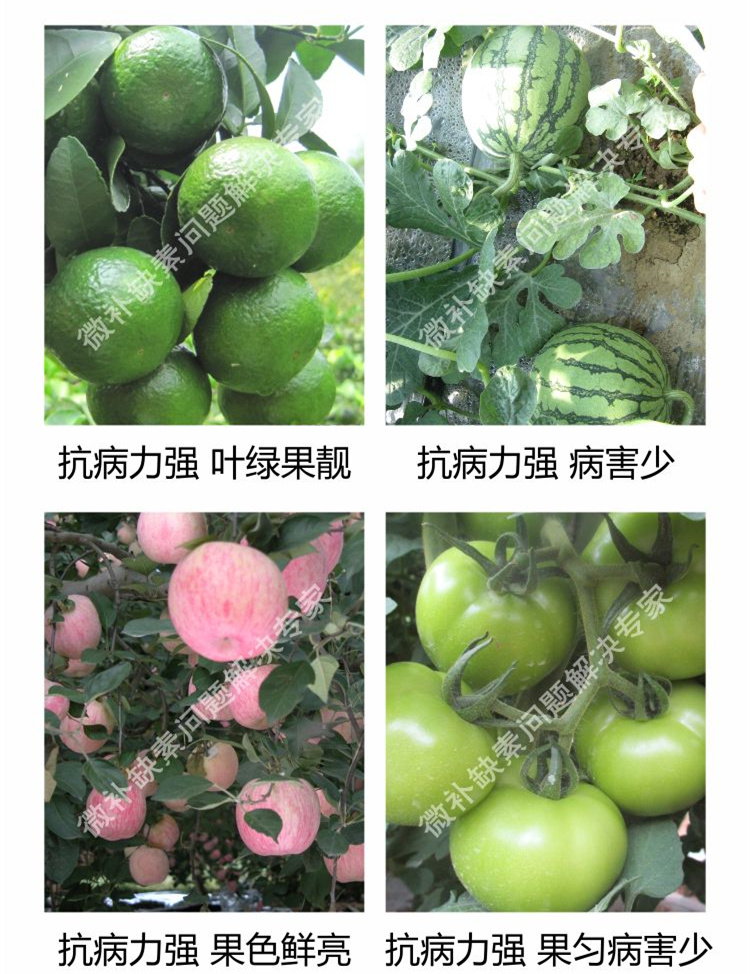 28微补抗力sj750_副本6.jpg