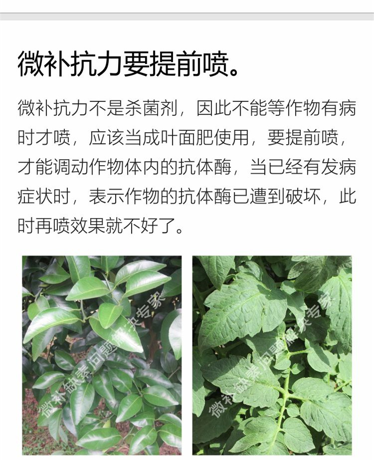 28微补抗力sj750_副本7.jpg