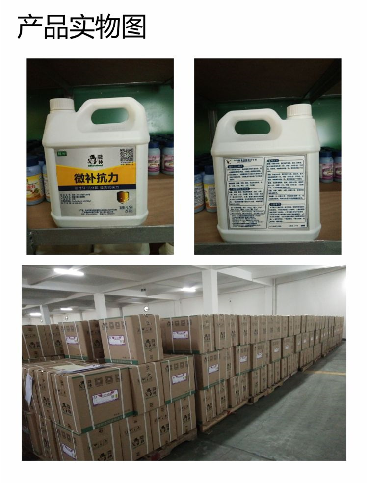 28微补抗力sj750_副本10.jpg