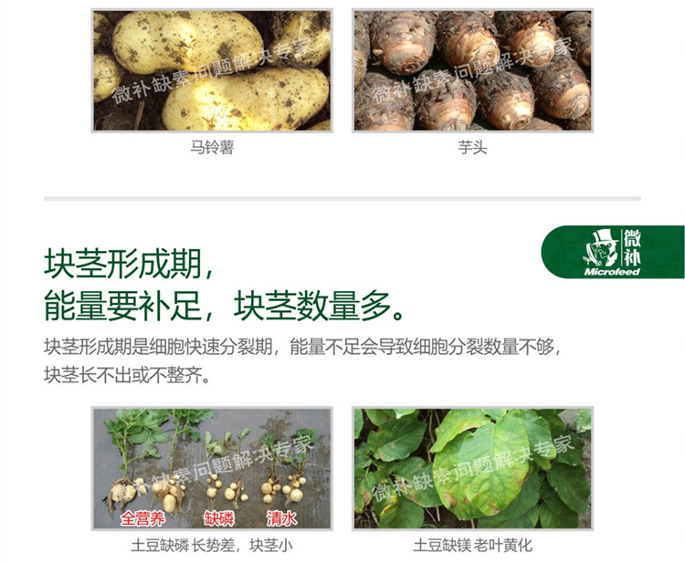 微补薯元宝990_副本3.jpg