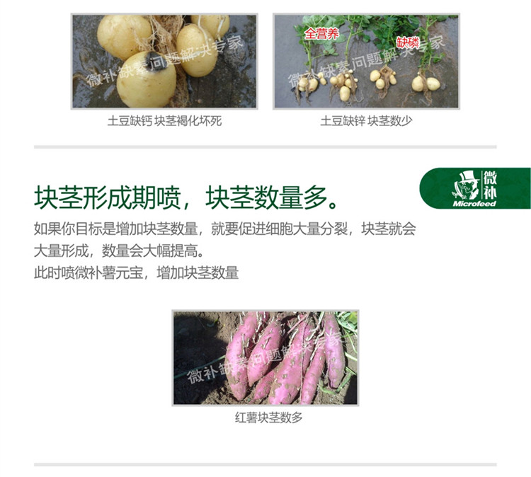 微补薯元宝990_副本4.jpg