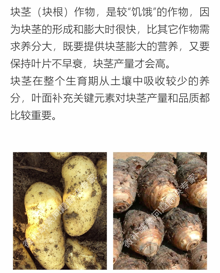 微补薯元宝750_副本3.jpg