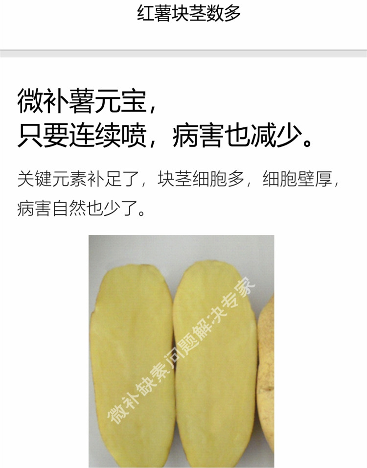 微补薯元宝750_副本6.jpg