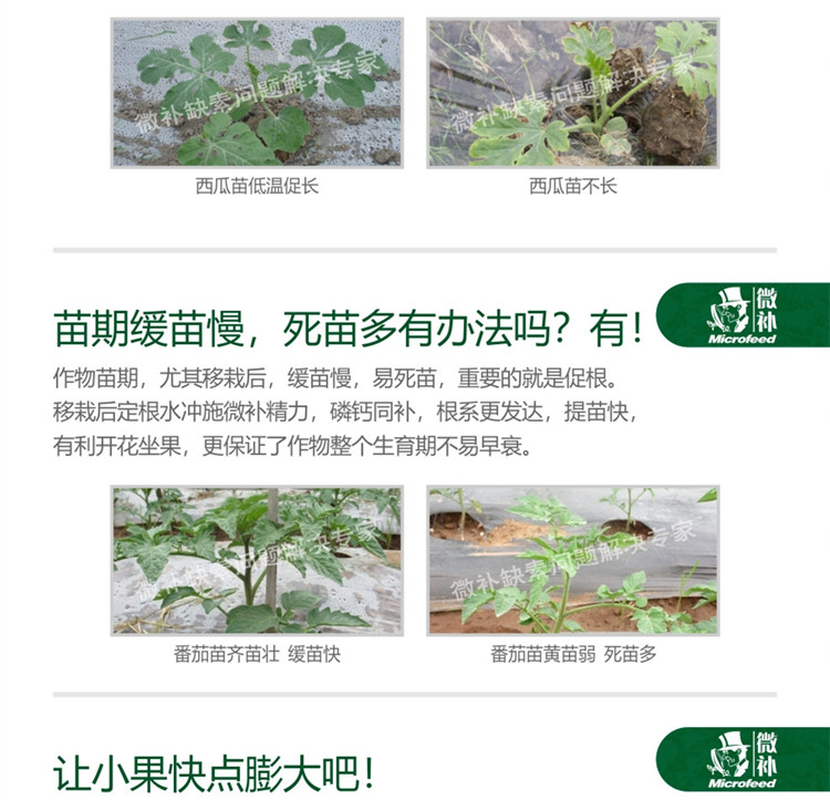 微补精力990_副本3.jpg