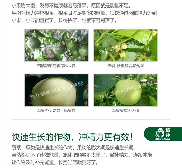 微补精力990_副本4.jpg