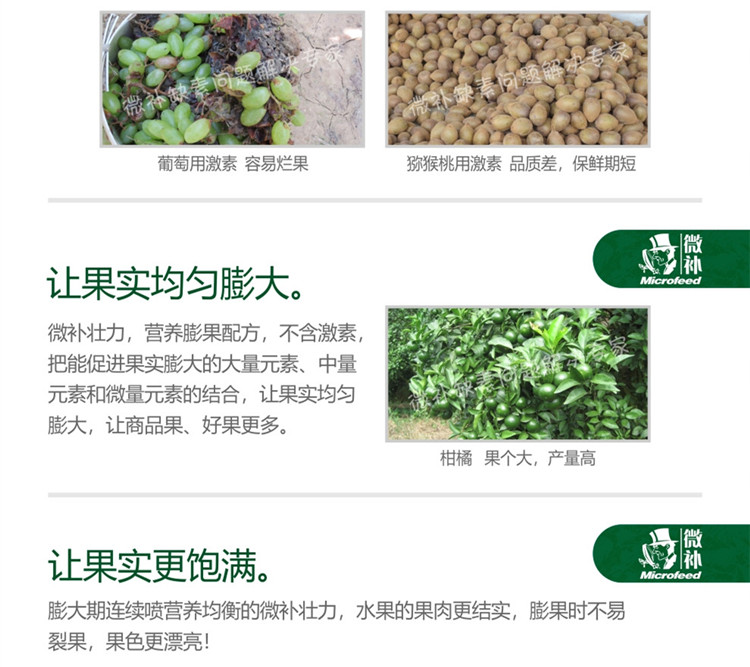 微补壮力990_副本3.jpg
