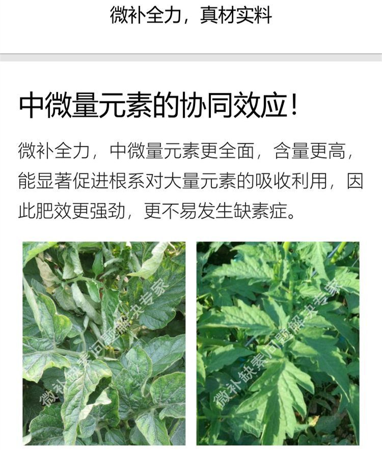 微补全力750_副本8.jpg