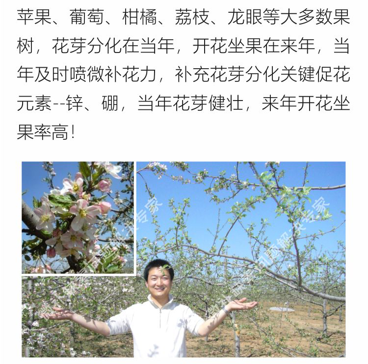 微补花力750_05.png