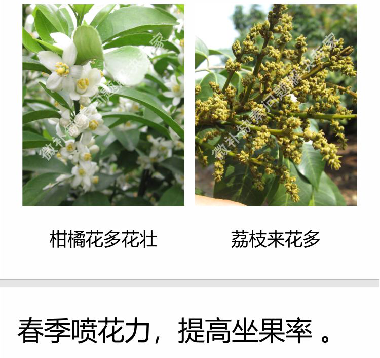 微补花力750_07.png